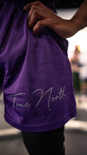 Load image into Gallery viewer, Signature Mesh Shorts - Royal Purple